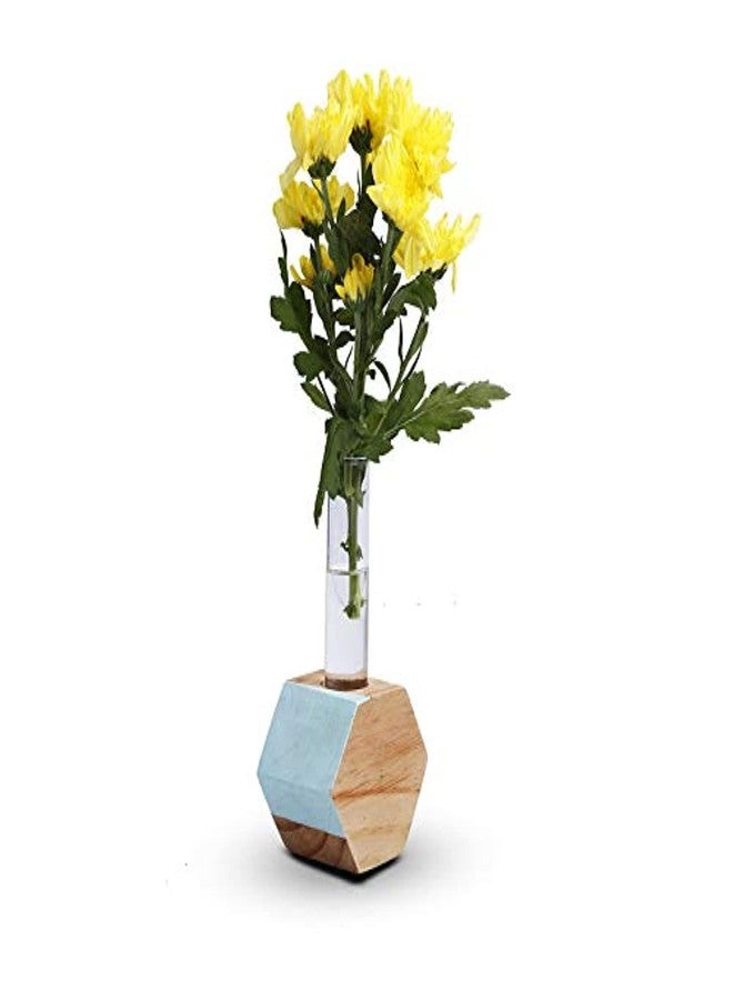 Sharpex Single Test Tube Wooden Plant Stand in Hexagon Shaped for Hydroponic Plants and beatifully Designed in Wooden Beige Color | Indoor, Outdoor | for Home Décor, Office Décor | - Image 1